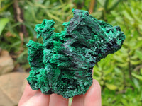 Natural Silky Malachite Specimens x 6 From Kasompe, Congo