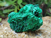 Natural Silky Malachite Specimens x 6 From Kasompe, Congo