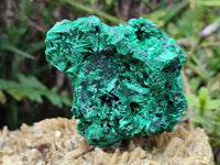 Natural Silky Malachite Specimens x 6 From Kasompe, Congo