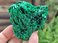 Natural Silky Malachite Specimens x 6 From Kasompe, Congo