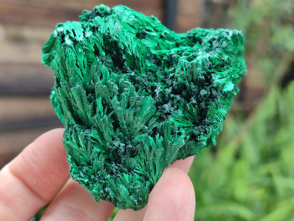 Natural Silky Malachite Specimens x 6 From Kasompe, Congo