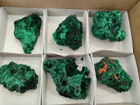 Natural Silky Malachite Specimens x 6 From Kasompe, Congo