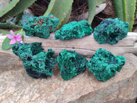 Natural Silky Malachite Specimens x 6 From Kasompe, Congo