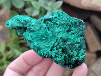 Natural Silky Malachite Specimens x 6 From Kasompe, Congo