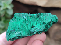 Natural Silky Malachite Specimens x 6 From Kasompe, Congo