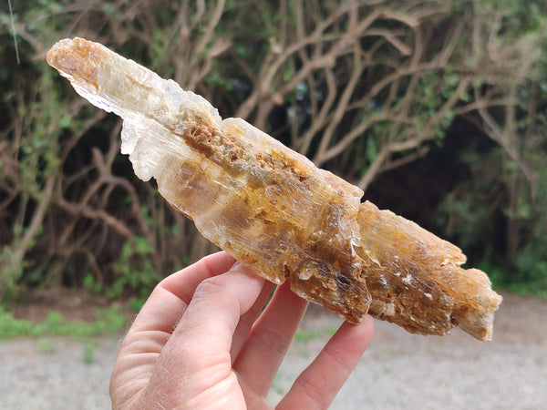 Natural Gypsum Specimens x 2 From Congo