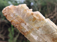 Natural Gypsum Specimens x 2 From Congo