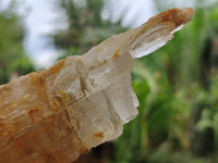 Natural Gypsum Specimens x 2 From Congo