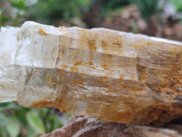 Natural Gypsum Specimens x 2 From Congo