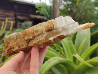 Natural Gypsum Specimens x 2 From Congo