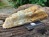 Natural Gypsum Specimens x 2 From Congo