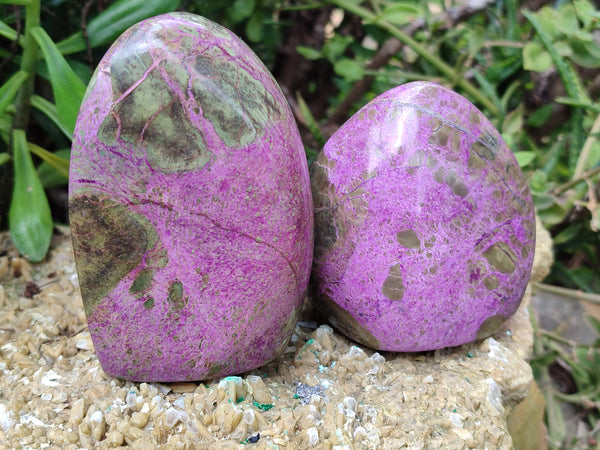 Polished Stichtite Standing Free Forms x 4 From Barberton, South Africa