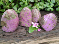 Polished Stichtite Standing Free Forms x 4 From Barberton, South Africa