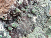 Natural Ball Malachite On Quartz Matrix Specimen x 1 From Kambove, Congo