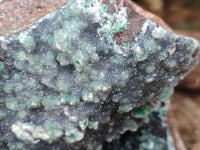 Natural Ball Malachite On Quartz Matrix Specimen x 1 From Kambove, Congo