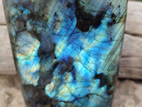 Polished Labradorite Standing Free Forms x 3 From Tulear, Madagascar