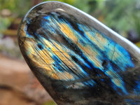 Polished Labradorite Standing Free Forms x 3 From Tulear, Madagascar