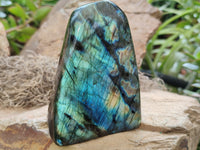 Polished Labradorite Standing Free Forms x 3 From Tulear, Madagascar