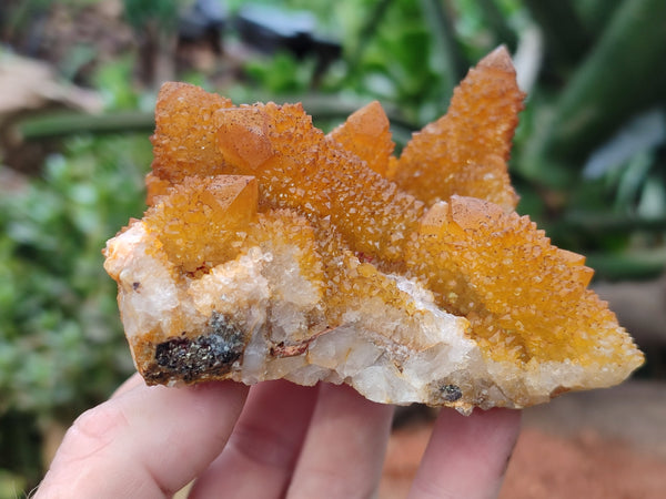 Natural Golden Solar Spirit Quartz Clusters x 3 From Boekenhouthoek, South Africa