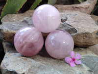 Polished Rose Quartz Spheres x 3 From Ambatondrazaka, Madagascar