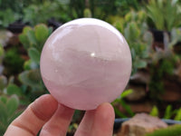 Polished Rose Quartz Spheres x 3 From Ambatondrazaka, Madagascar