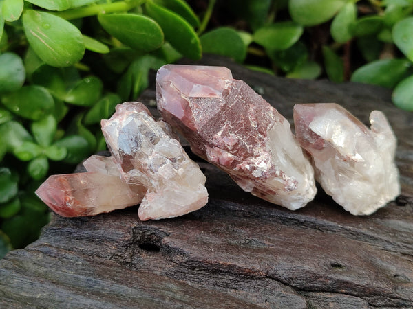 Natural Red Hematoid Quartz Crystals x 35 From Karoi, Zimbabwe