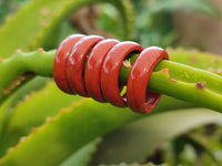 Hand Made 16mm Red Jasper Rings - sold per item - From South Africa