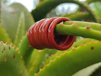 Hand Made 19mm Red Jasper Rings - sold per item - From South Africa