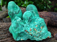 Natural Etched Silky Malachite Stalactite Specimen x 1 From Congo