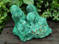 Natural Etched Silky Malachite Stalactite Specimen x 1 From Congo