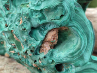 Natural Etched Silky Malachite Stalactite Specimen x 1 From Congo