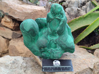 Natural Etched Silky Malachite Stalactite Specimen x 1 From Congo