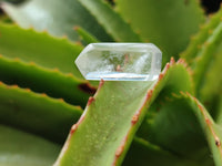 Polished Clear Quartz Crystals x 35 From Madagascar