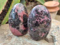 Polished Rhodonite Standing Free Forms x 6 From Ambindavato, Madagascar