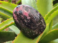 Polished Rhodonite Standing Free Forms x 6 From Ambindavato, Madagascar