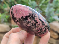 Polished Rhodonite Standing Free Forms x 6 From Ambindavato, Madagascar