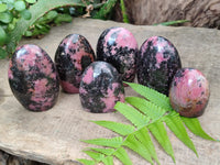 Polished Rhodonite Standing Free Forms x 6 From Ambindavato, Madagascar