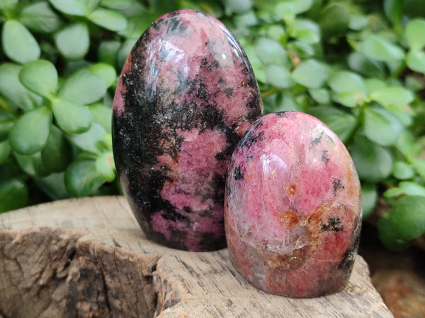 Polished Rhodonite Standing Free Forms x 6 From Ambindavato, Madagascar