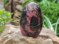 Polished Rhodonite Standing Free Forms x 6 From Ambindavato, Madagascar