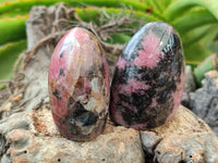 Polished Rhodonite Standing Free Forms x 6 From Ambindavato, Madagascar