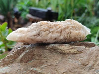 Natural Drusy Quartz Coated Calcite Pseudomorph Specimens x 12 From Alberts Mountain, Lesotho