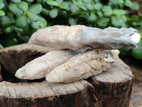 Natural Drusy Quartz Coated Calcite Pseudomorph Specimens x 12 From Alberts Mountain, Lesotho