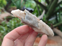 Natural Drusy Quartz Coated Calcite Pseudomorph Specimens x 12 From Alberts Mountain, Lesotho