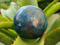 Polished Shattuckite Spheres x 2 From Congo