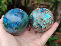 Polished Shattuckite Spheres x 2 From Congo