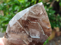 Polished Smokey Quartz Crystals x 3 From Madagascar