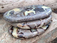 Polished Septerye Slices x 3 From Mahajanga, Madagascar