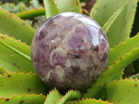 Polished Chevron Amethyst Sphere x 1 From Madagascar