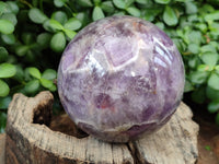 Polished Chevron Amethyst Sphere x 1 From Madagascar