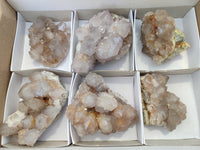 Natural Cactus Flower Spirit Quartz Clusters x 6 From South Africa